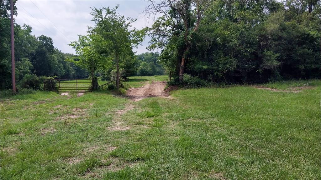 1 County Road 3465, Lovelady, Texas image 22