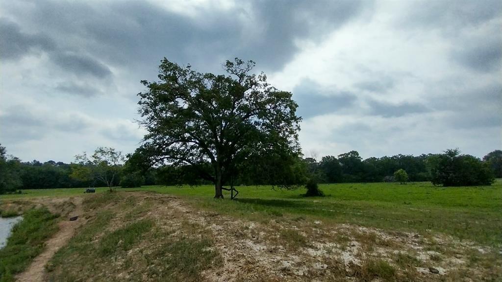 1 County Road 3465, Lovelady, Texas image 3