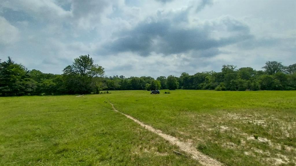 1 County Road 3465, Lovelady, Texas image 21