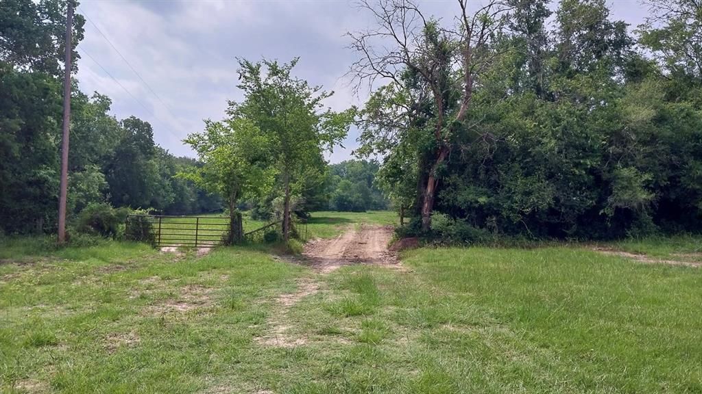 1 County Road 3465, Lovelady, Texas image 23