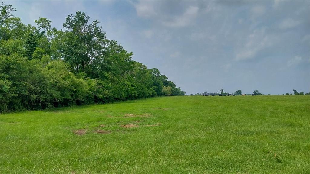 1 County Road 3465, Lovelady, Texas image 24