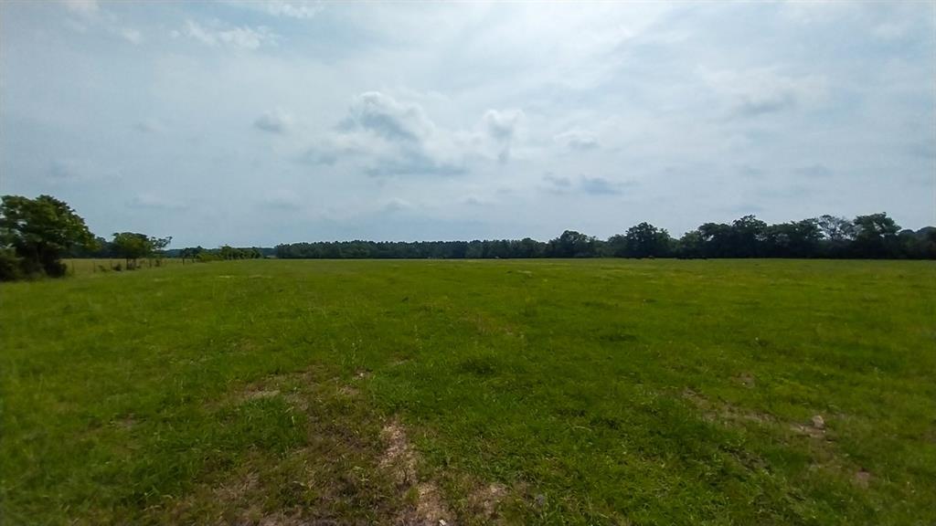 1 County Road 3465, Lovelady, Texas image 9
