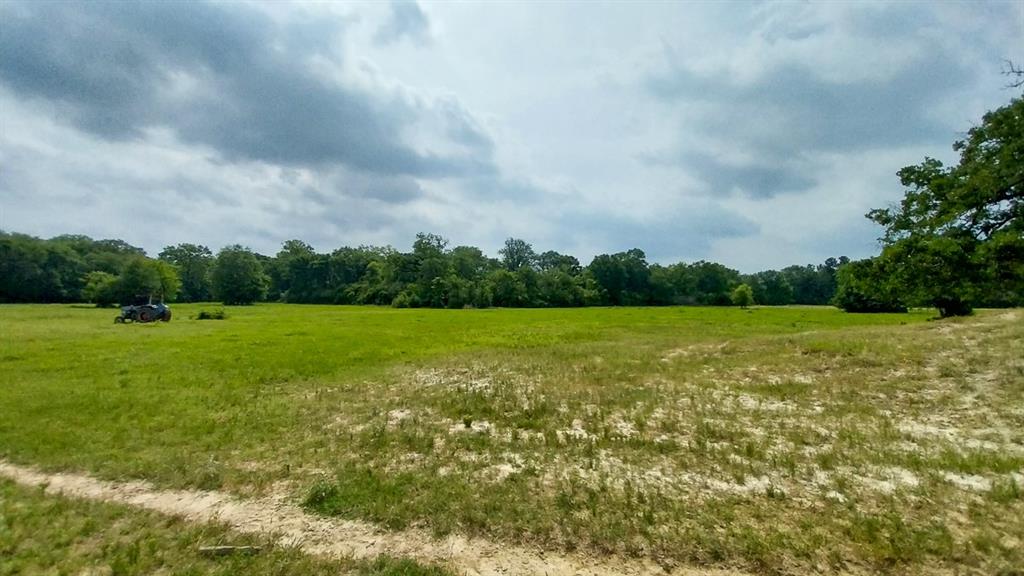 1 County Road 3465, Lovelady, Texas image 20