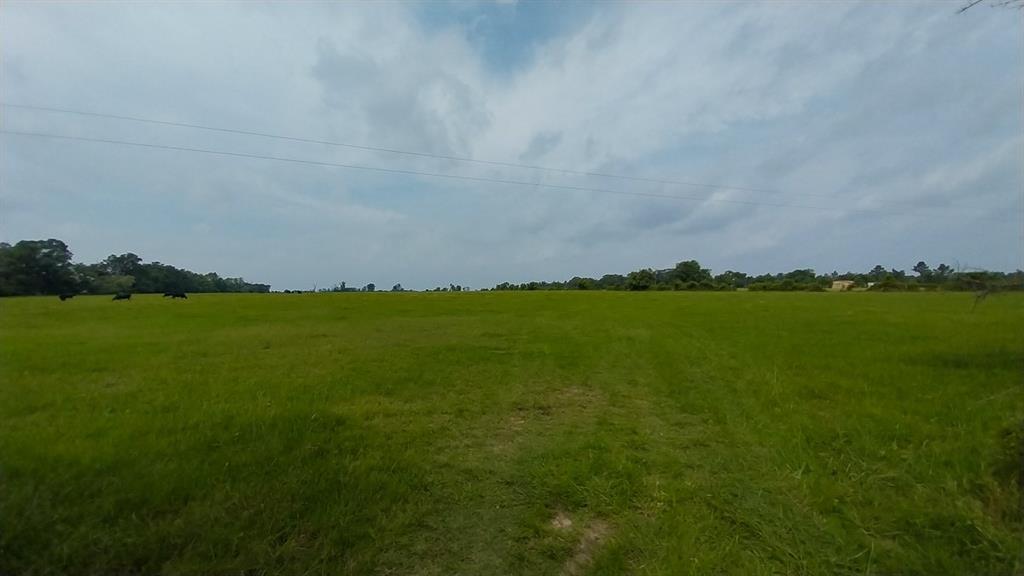 1 County Road 3465, Lovelady, Texas image 4
