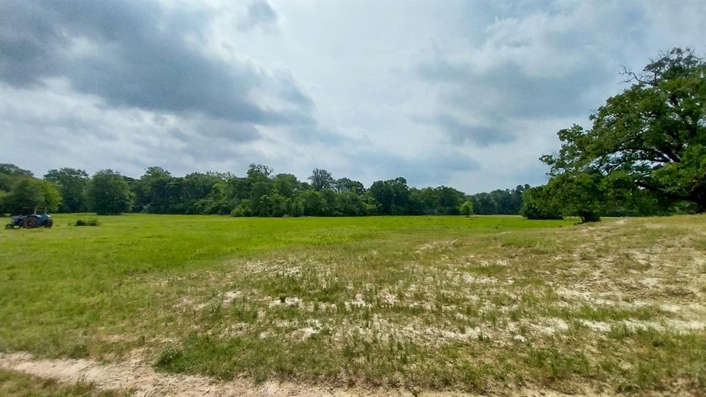 1 County Road 3465, Lovelady, Texas image 19