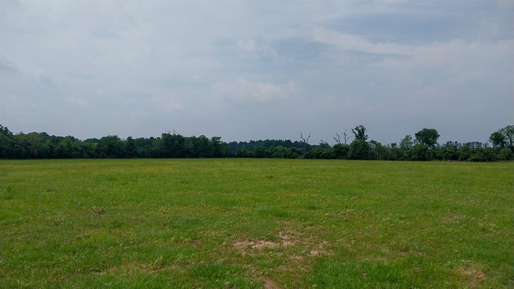 1 County Road 3465, Lovelady, Texas image 11