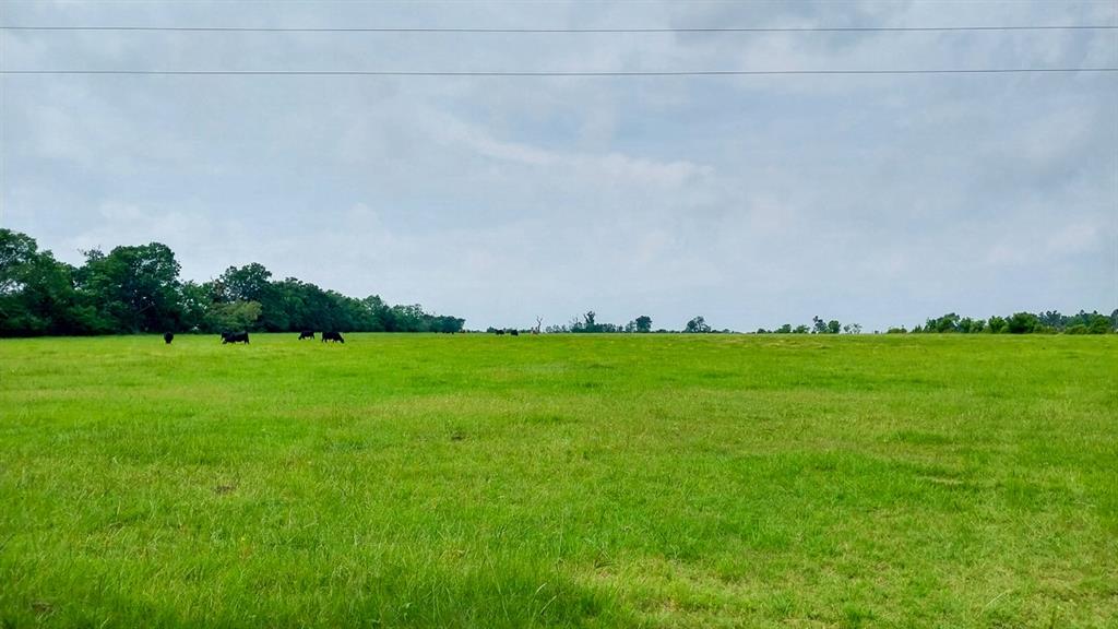 1 County Road 3465, Lovelady, Texas image 5