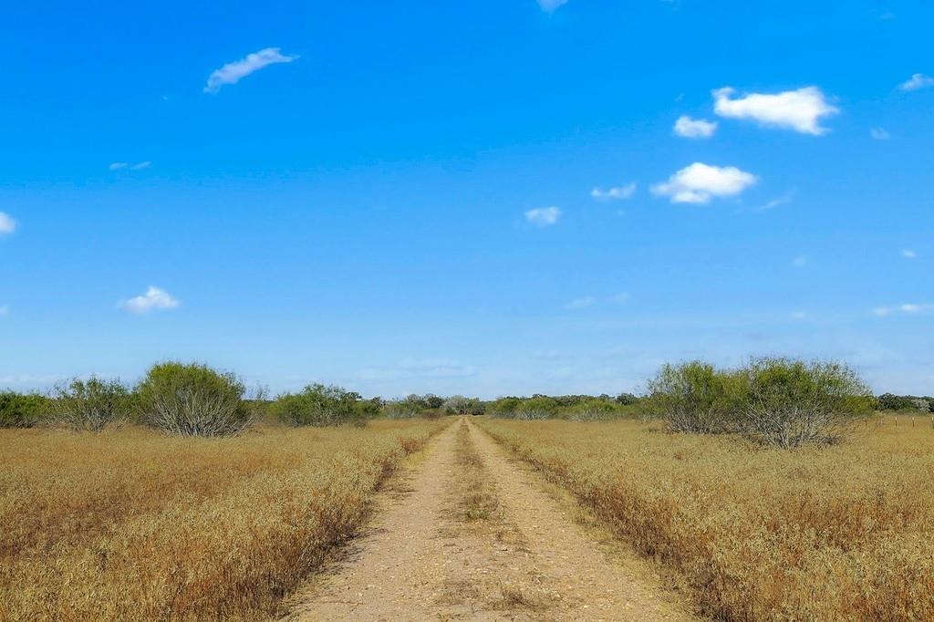 Tract 2 Lobo Lane, Columbus, Texas image 8