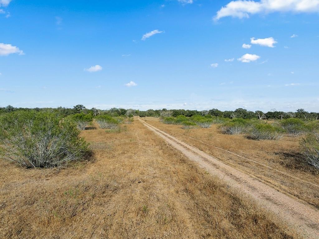 Tract 2 Lobo Lane, Columbus, Texas image 1