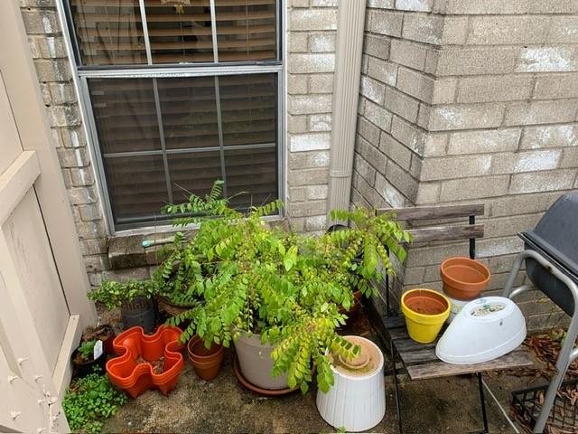 2934 Holly Hall Street #2934, Houston, Texas image 12