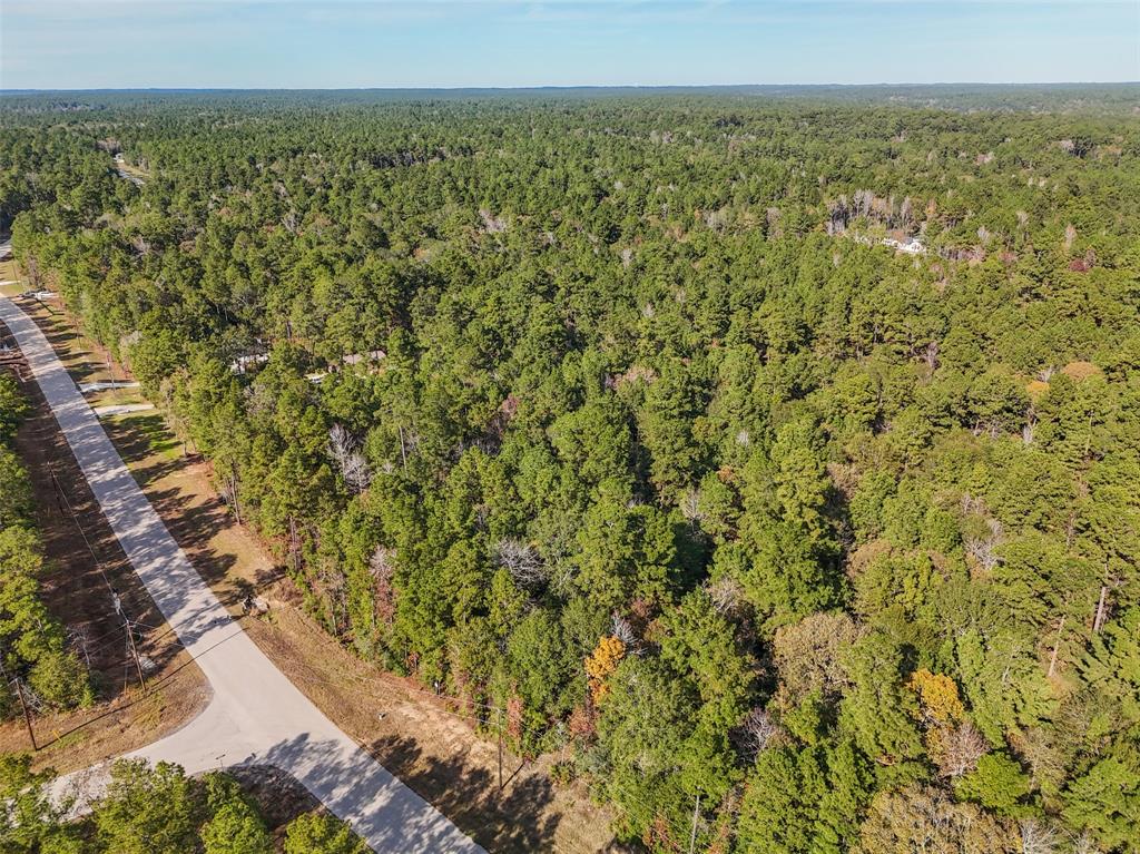 Windmill Road, New Waverly, Texas image 9