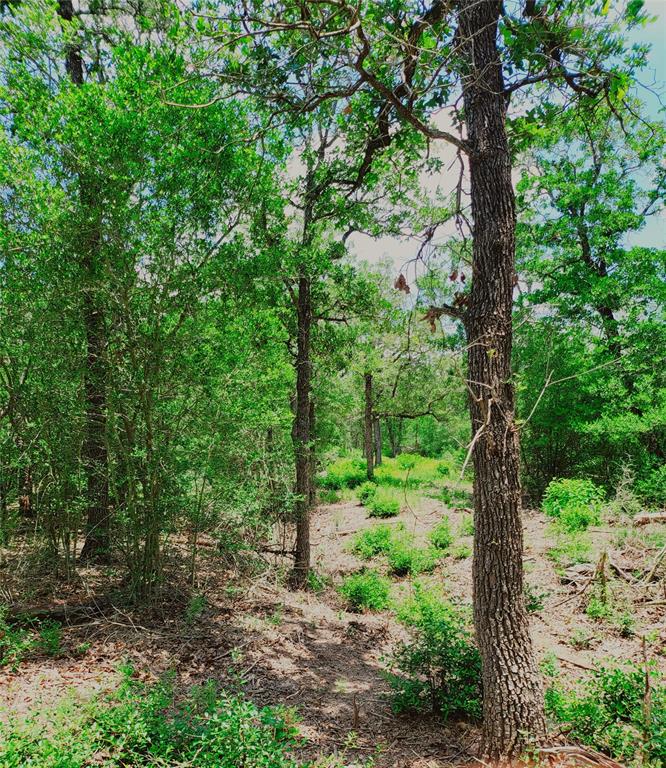 1825 Armstrong-derry Road, Waelder, Texas image 8