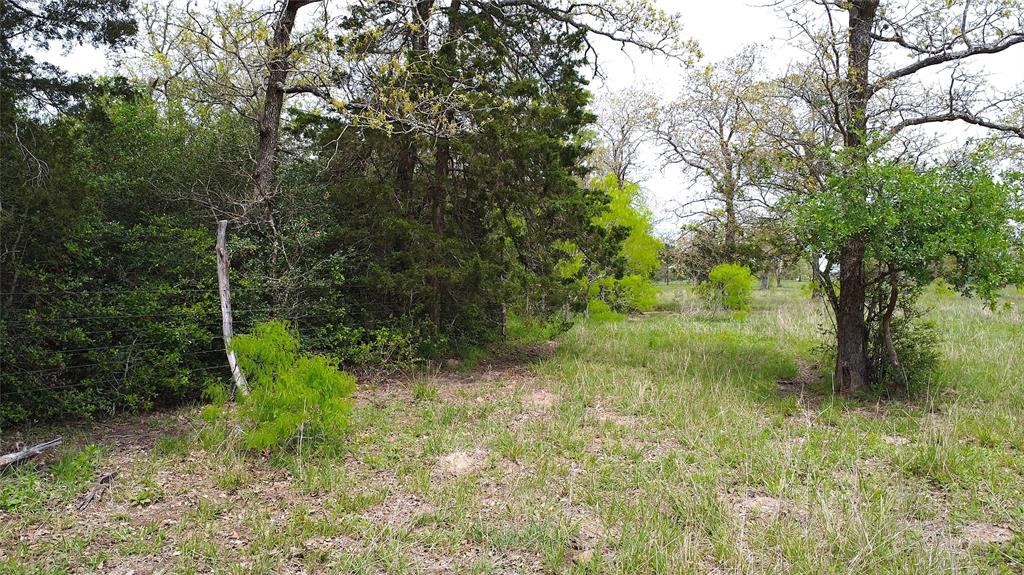 1825 Armstrong-derry Road, Waelder, Texas image 4