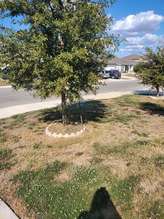 7120 Quarter Moon, Comfort, Texas image 2