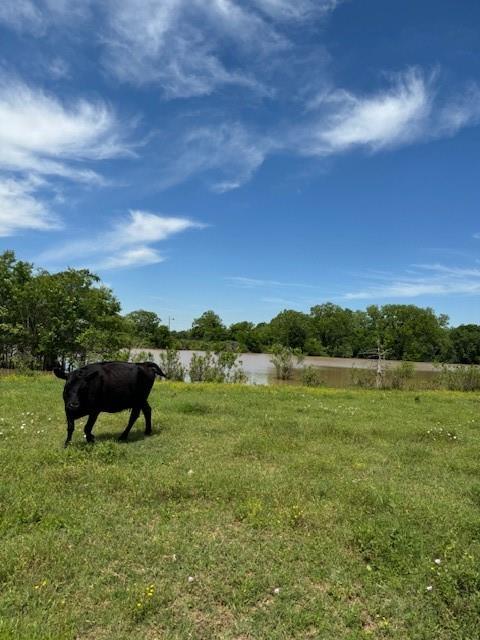 6319 Fm 1489, Brookshire, Texas image 12