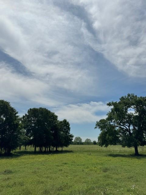 6319 Fm 1489, Brookshire, Texas image 9