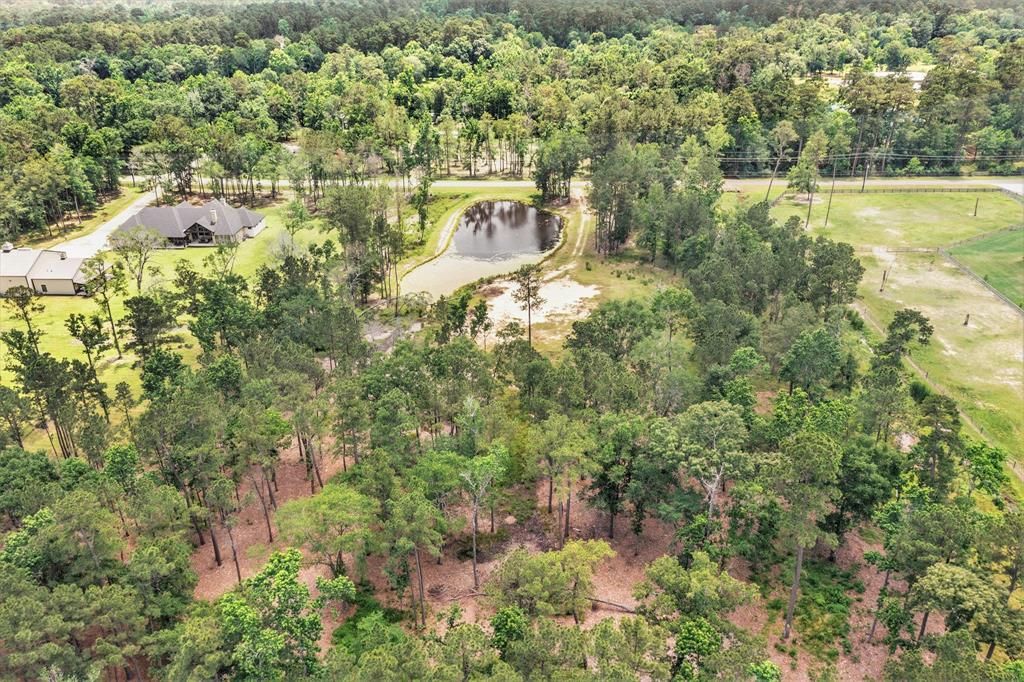 10114 Woodlane Boulevard, Magnolia, Texas image 6