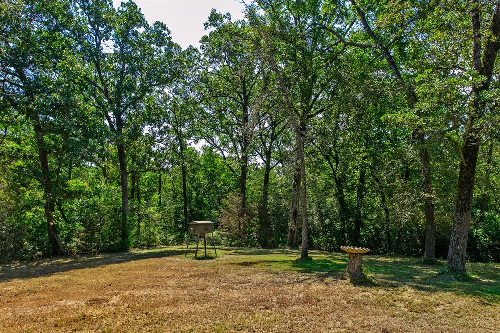 12 W Trail Lane, Hilltop Lakes, Texas image 22