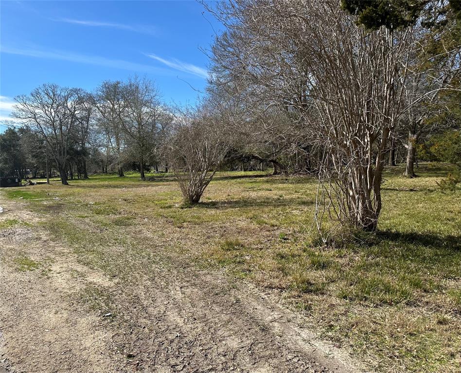 W Fairview Street, Alvin, Texas image 6