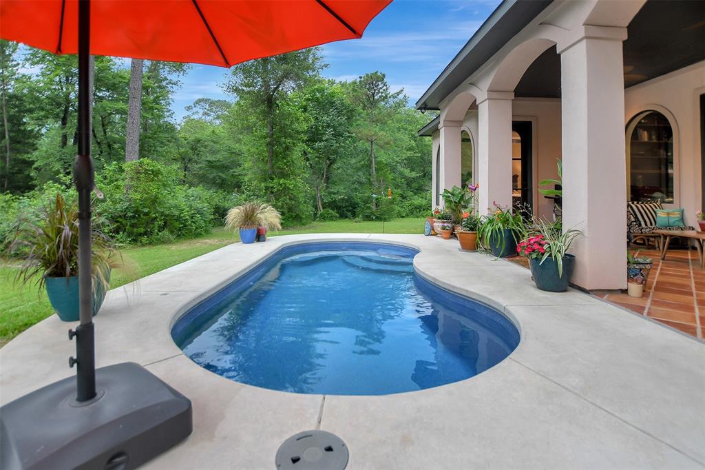 22485 Inwood Forest Drive, Montgomery, Texas image 44