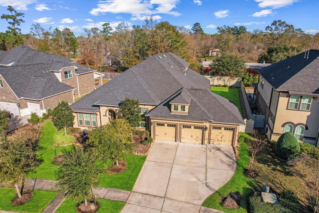 10442 Lake Palmetto Drive, Conroe, Texas image 2