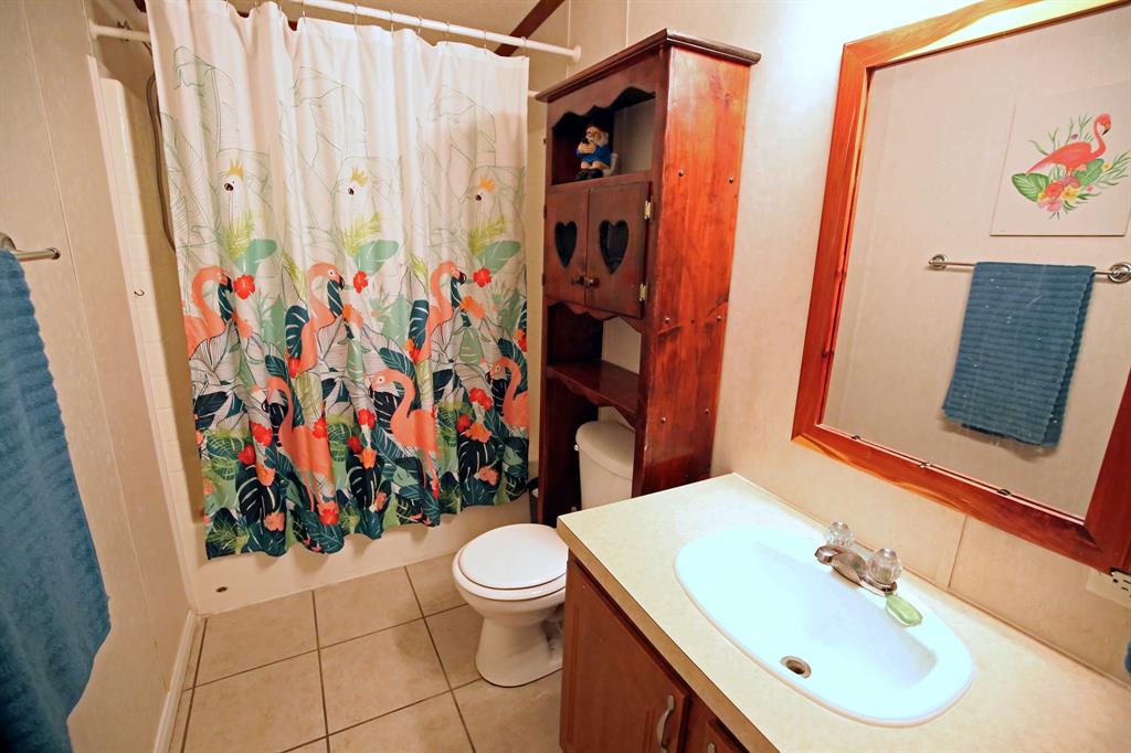 15402 Maple Street, Santa Fe, Texas image 7