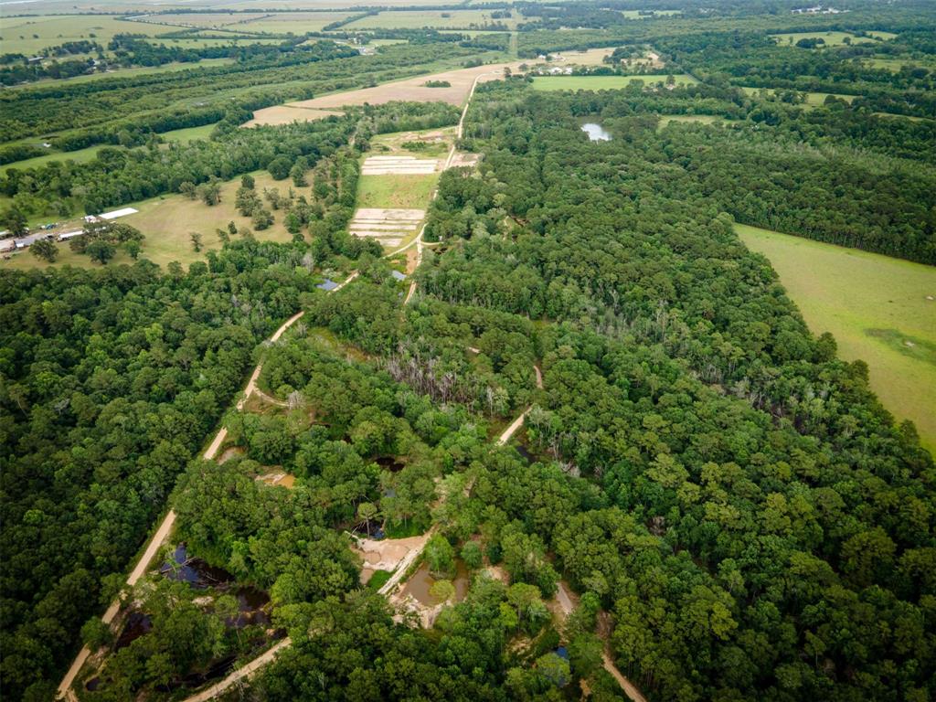 County Road 137, Liberty, Texas image 3