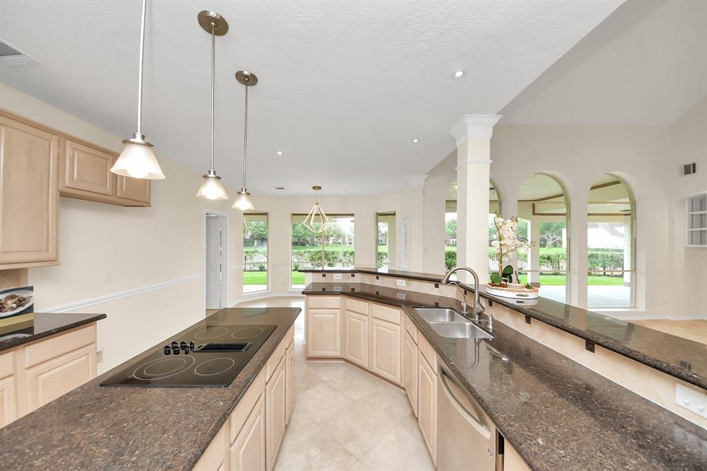 6511 Ashfield Place Court, Sugar Land, Texas image 17