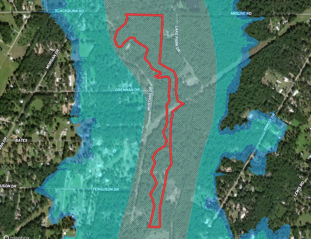 TBD Freeway Forest, Splendora, Texas image 2