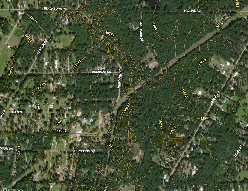 TBD Freeway Forest, Splendora, Texas image 4