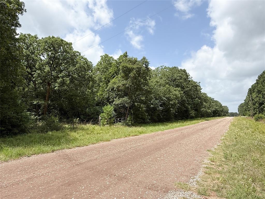 16316 County Road 224