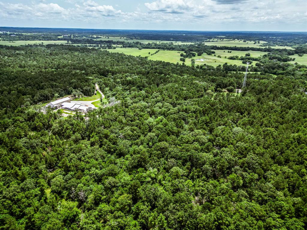 TBA State Highway 75 N