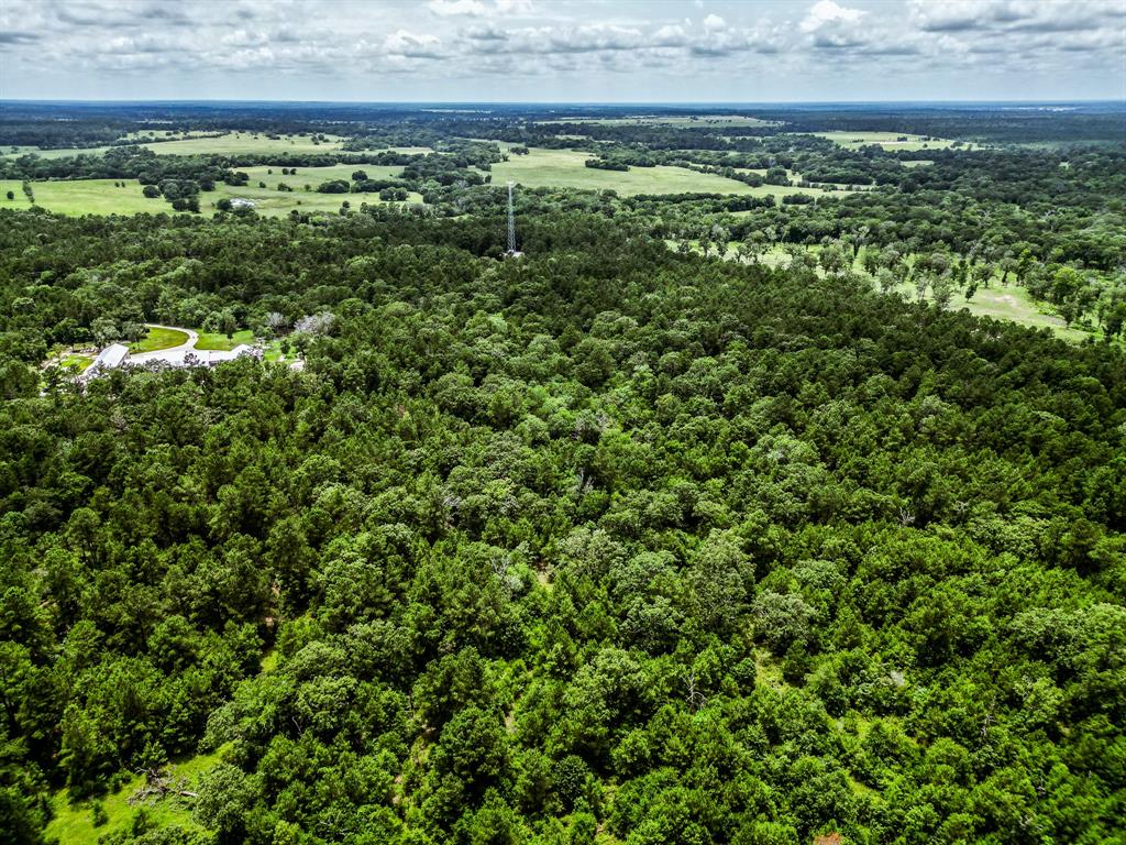 TBA State Highway 75 N