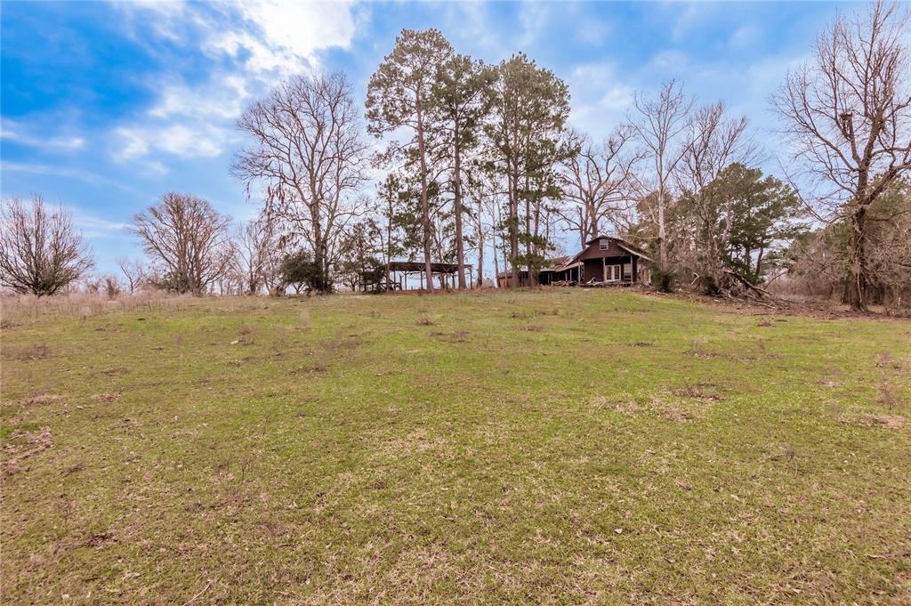 1000 Lovell Lane, Trinity, Texas image 8