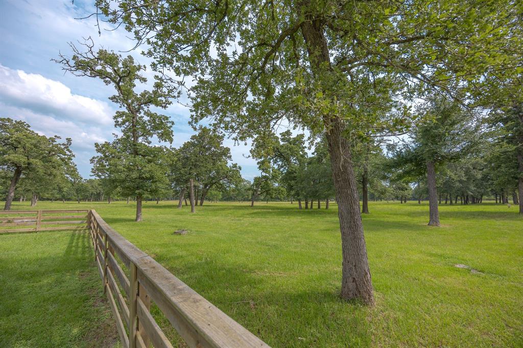 4988 Paso Fino Lane, Madisonville, Texas image 46