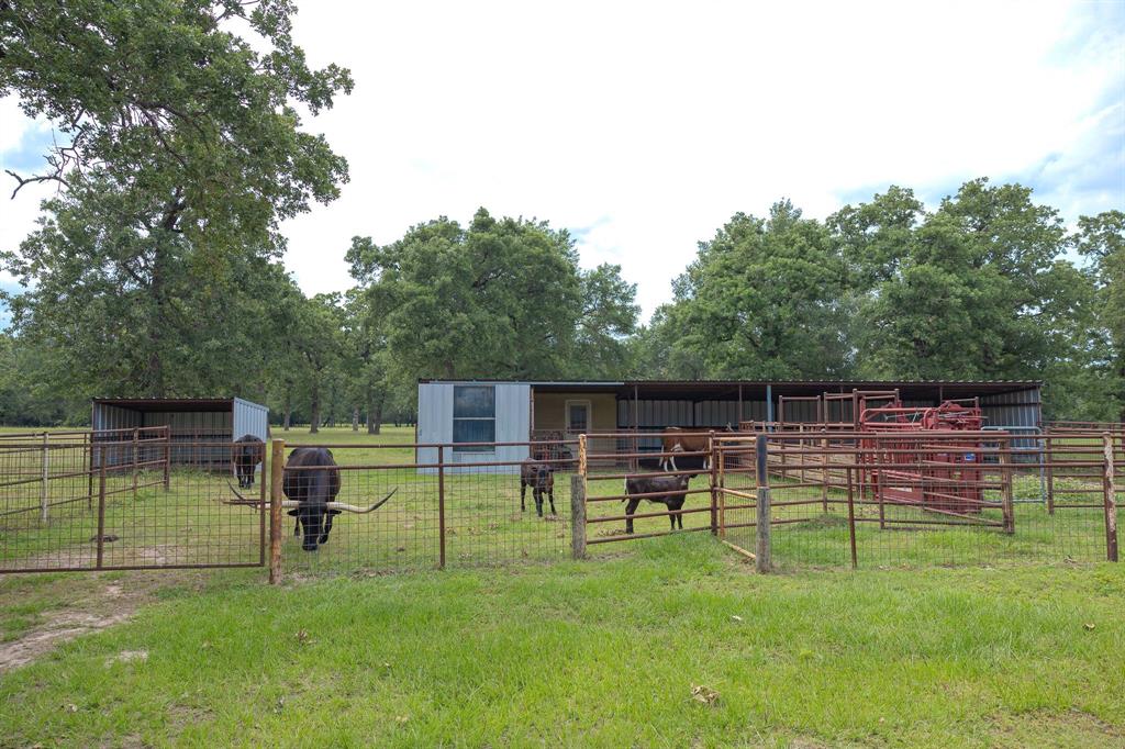 4988 Paso Fino Lane, Madisonville, Texas image 34