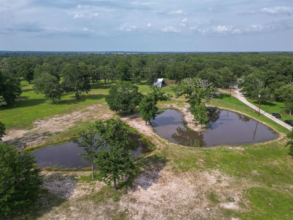 4988 Paso Fino Lane, Madisonville, Texas image 44