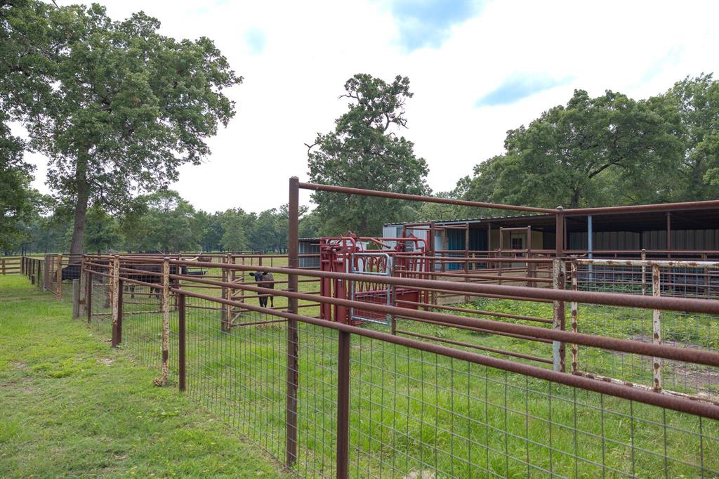 4988 Paso Fino Lane, Madisonville, Texas image 33