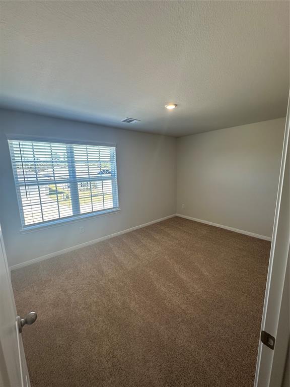 16457 Blossom Grove Drive, Conroe, Texas image 7