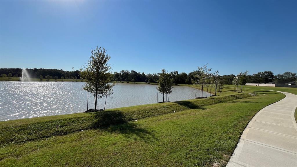 1738 Lilypad Drive, Alvin, Texas image 16