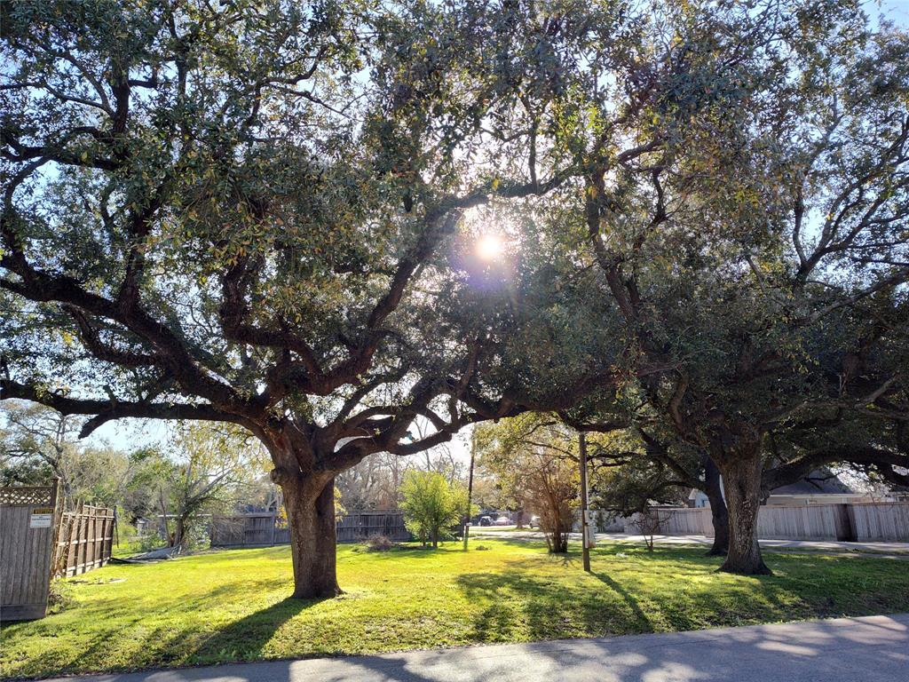 3803 E Plum Street, Pearland, Texas image 3