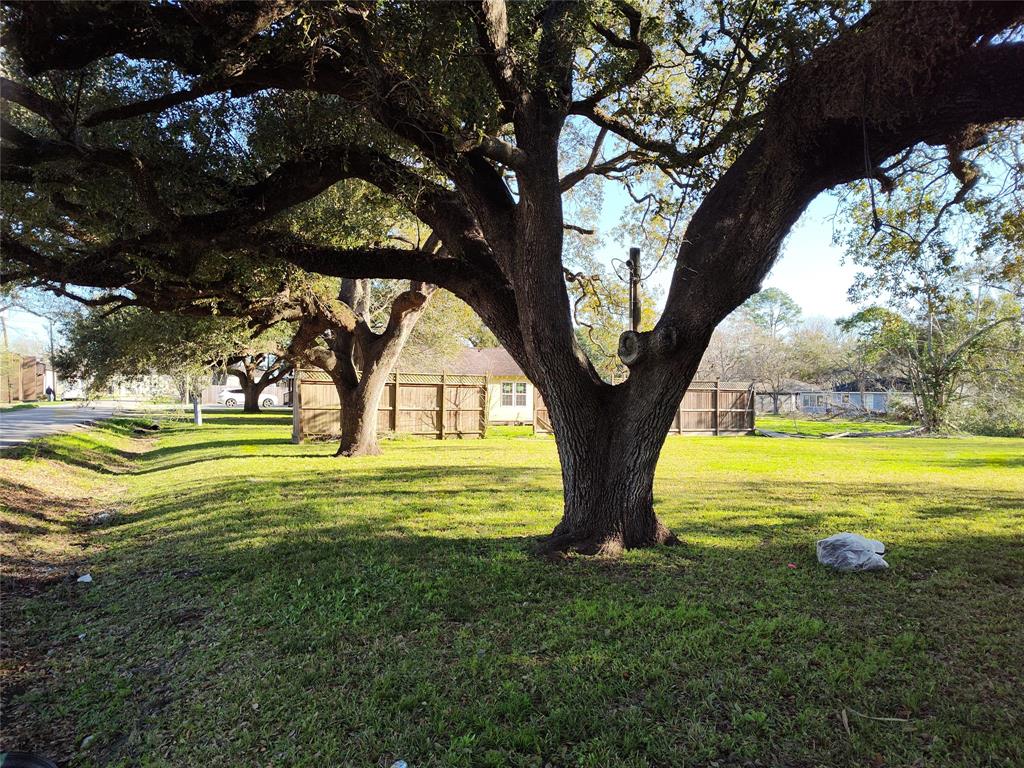 3803 E Plum Street, Pearland, Texas image 6