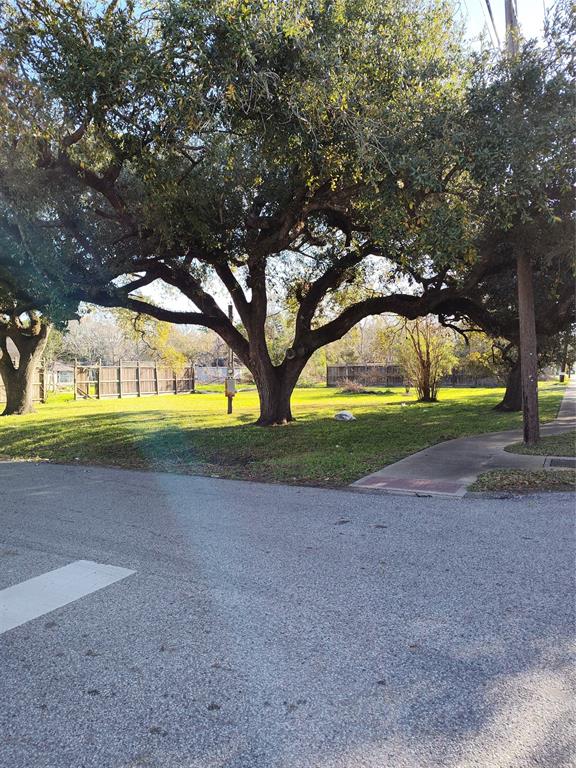 3803 E Plum Street, Pearland, Texas image 8