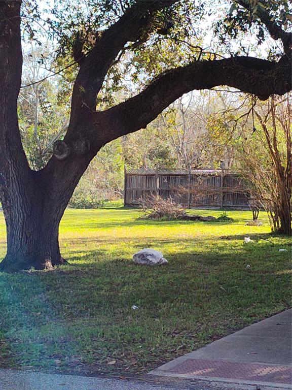 3803 E Plum Street, Pearland, Texas image 9