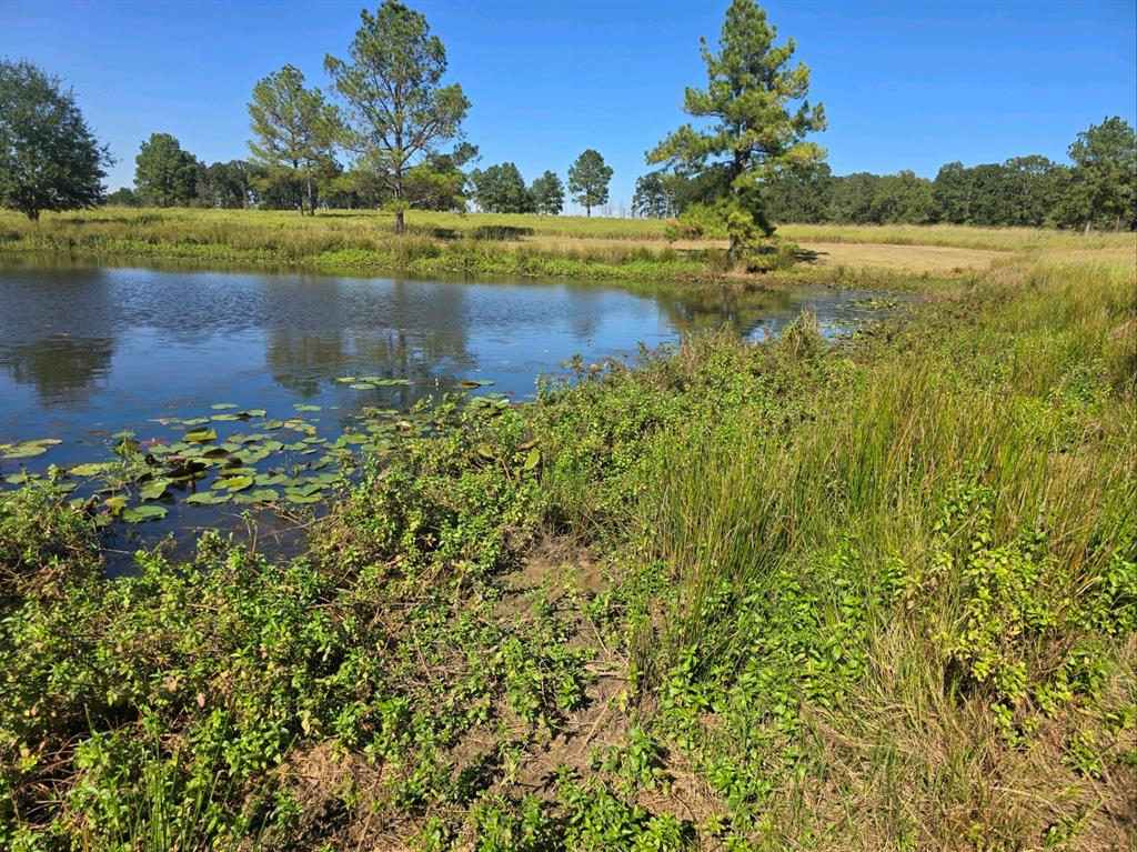 1200 Buckhorn Creek, Crockett, Texas image 5