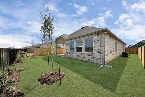 A home in Iowa Colony