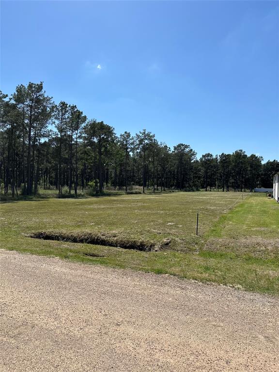 TBD Grant Rd Road, Cypress, Texas image 11