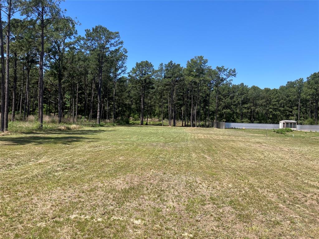 TBD Grant Rd Road, Cypress, Texas image 3