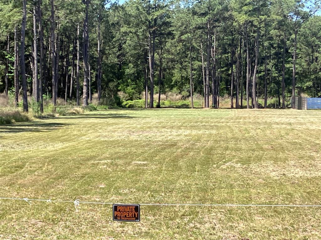 TBD Grant Rd Road, Cypress, Texas image 6