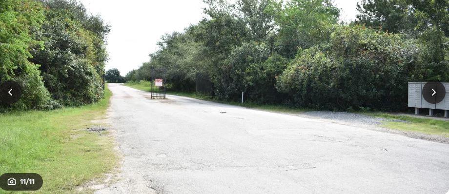TBD Grant Rd Road, Cypress, Texas image 2
